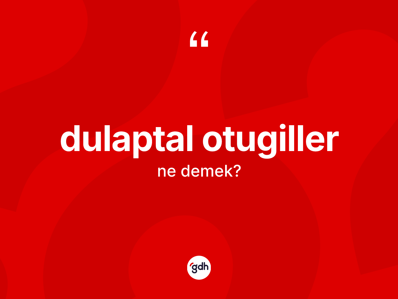 Dulaptal otugiller kelimesinin tanımı nedir? Dulaptal otugillerin TDK'ya göre anlamı nedir?