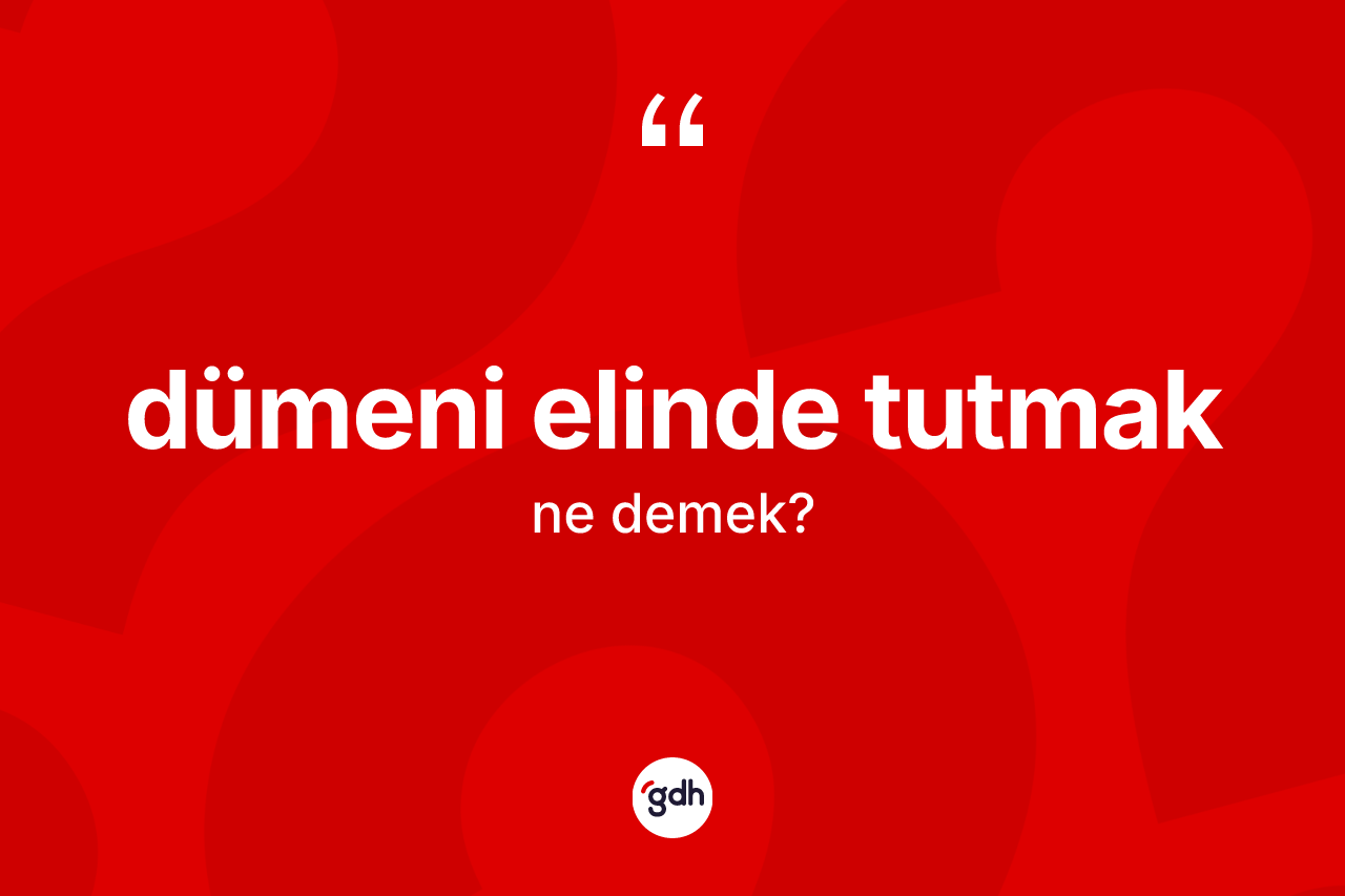 Dümeni elinde tutmak ifadesinin kısaca anlamı nedir?