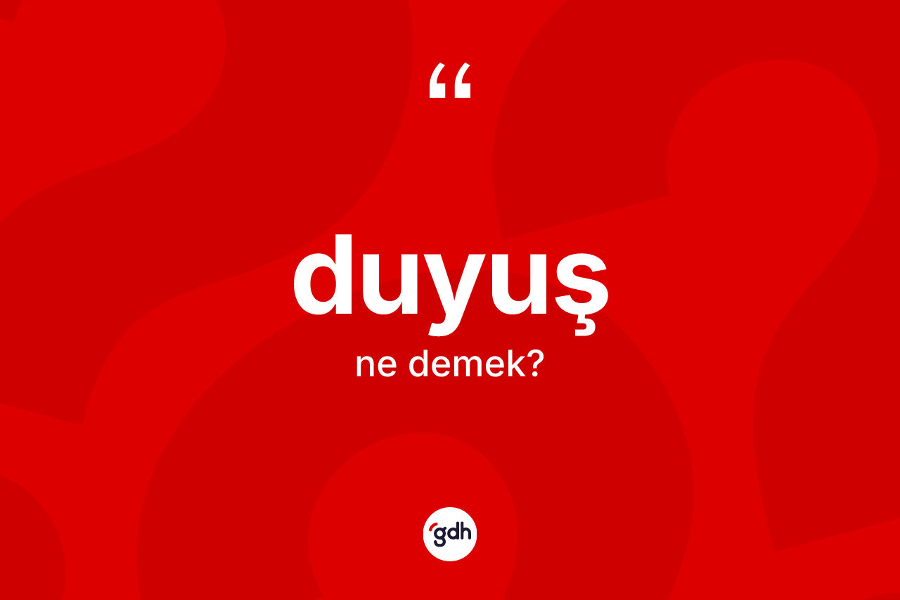 Duyuş kelimesinin anlamı nedir? Duyuş kelimesinin kaç farklı anlamı var?