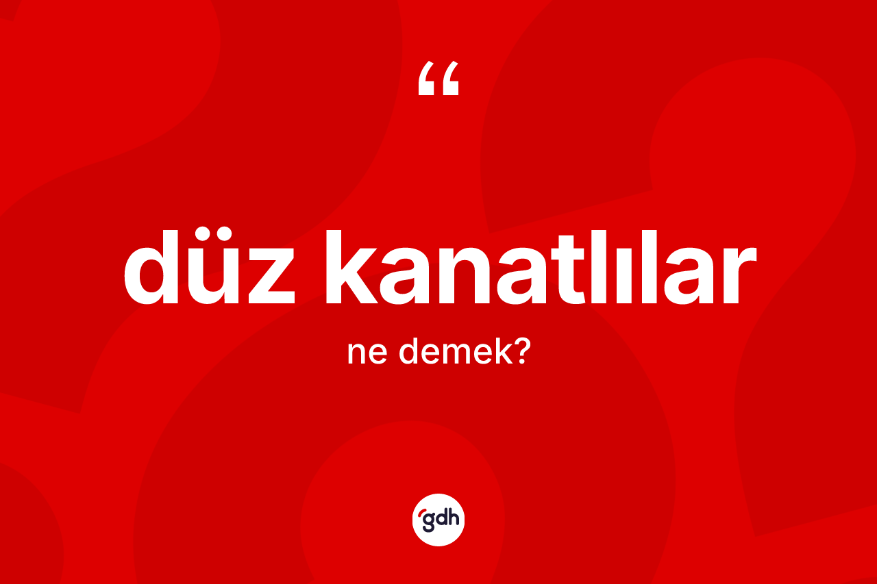 Düz kanatlılar nedir?