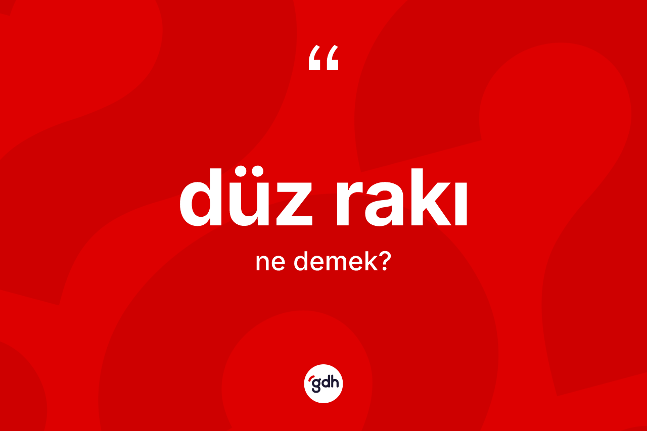 Düz rakı kelimesi ne demek? Düz rakı kelimesinin TDK'ya göre açıklaması nedir?