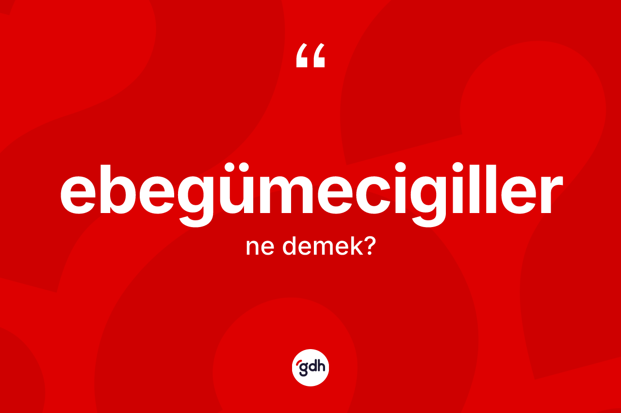 Ebegümecigiller kelimesi ne demek? Ebegümecigillerin TDK'ya göre anlamı nedir?