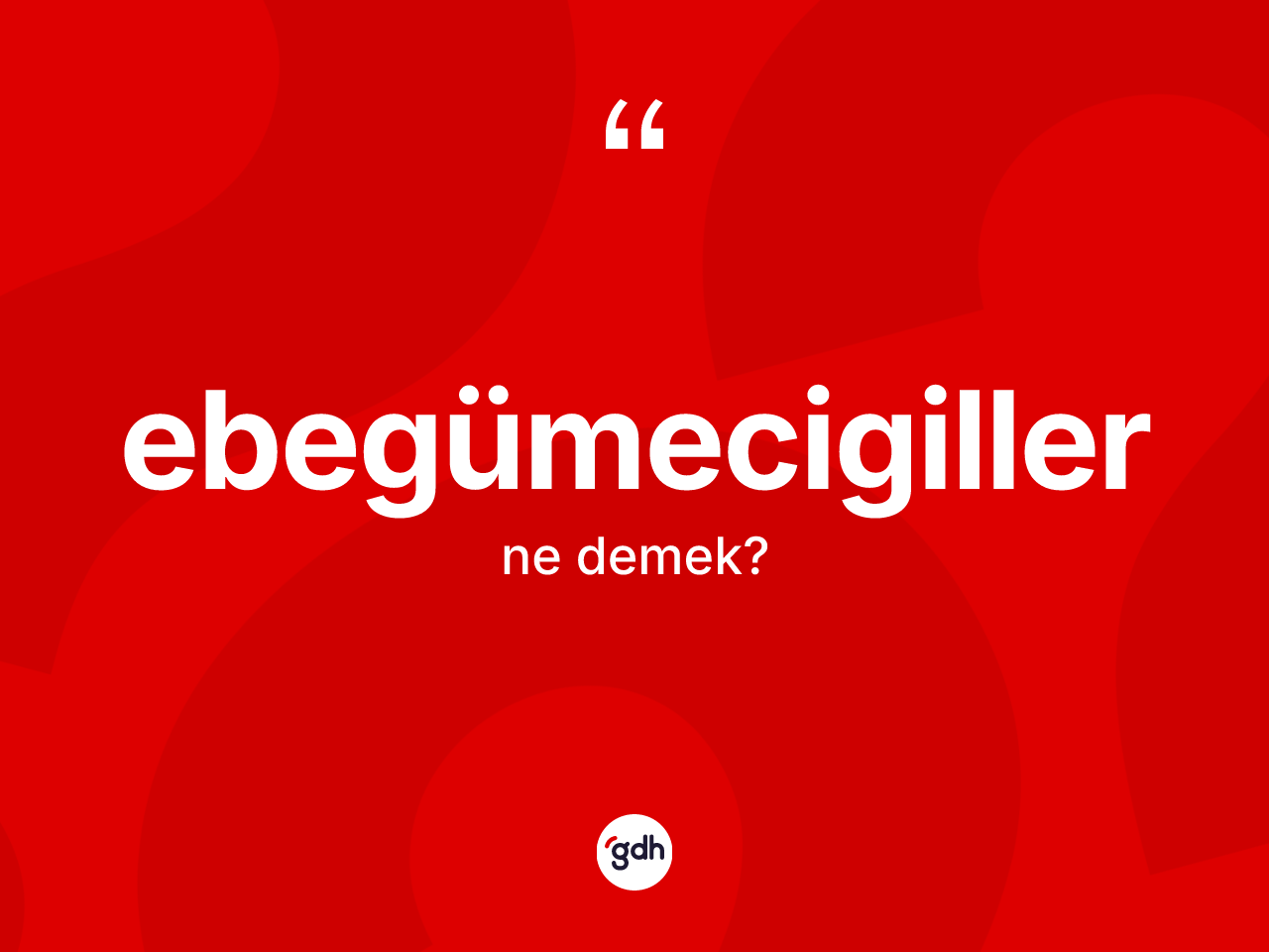 Ebegümecigiller kelimesi ne demek? Ebegümecigillerin TDK'ya göre anlamı nedir?