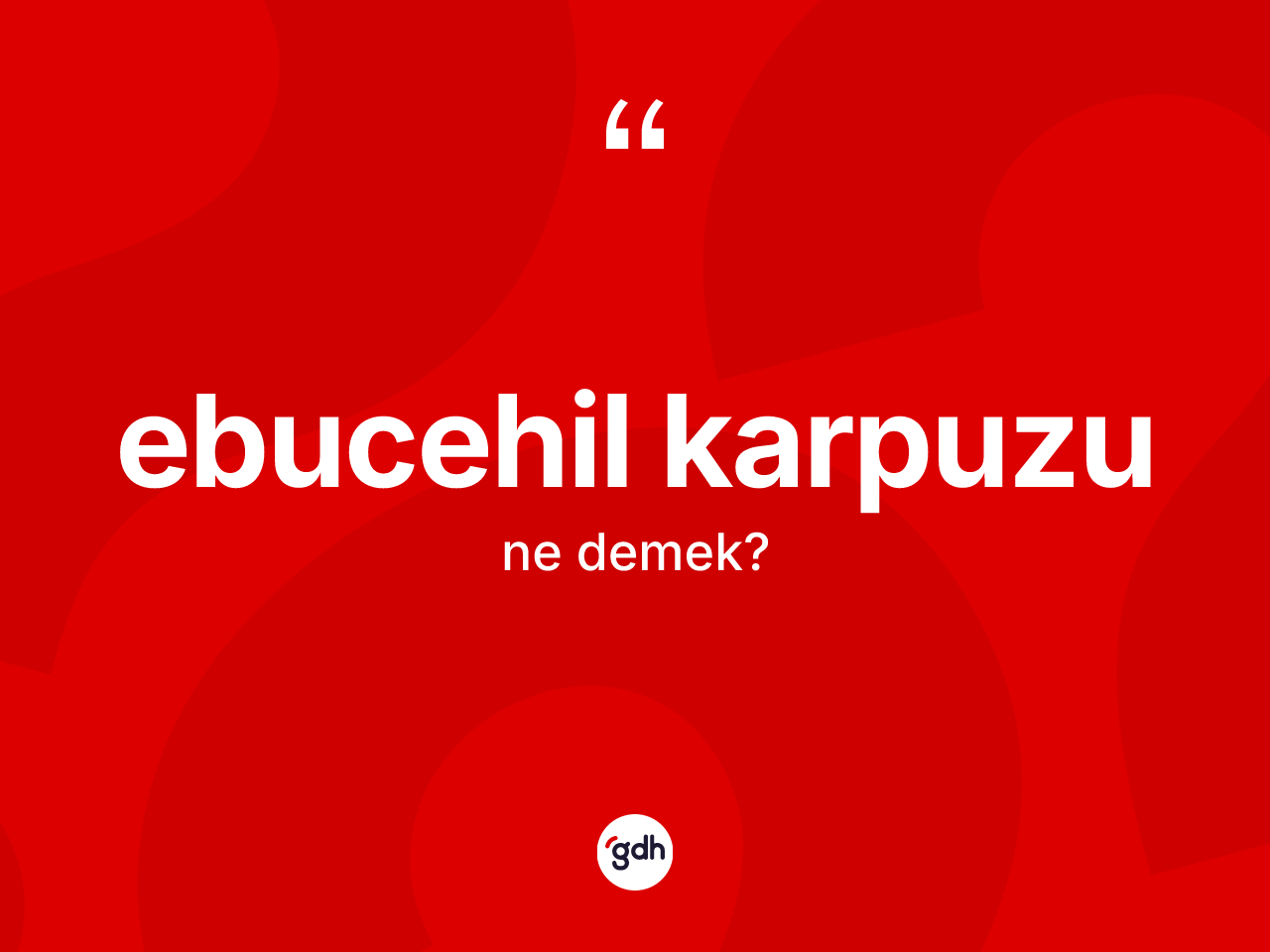 Ebucehil karpuzu ne demek? Ebucehil karpuzunun TDK'ya göre anlamı nedir?