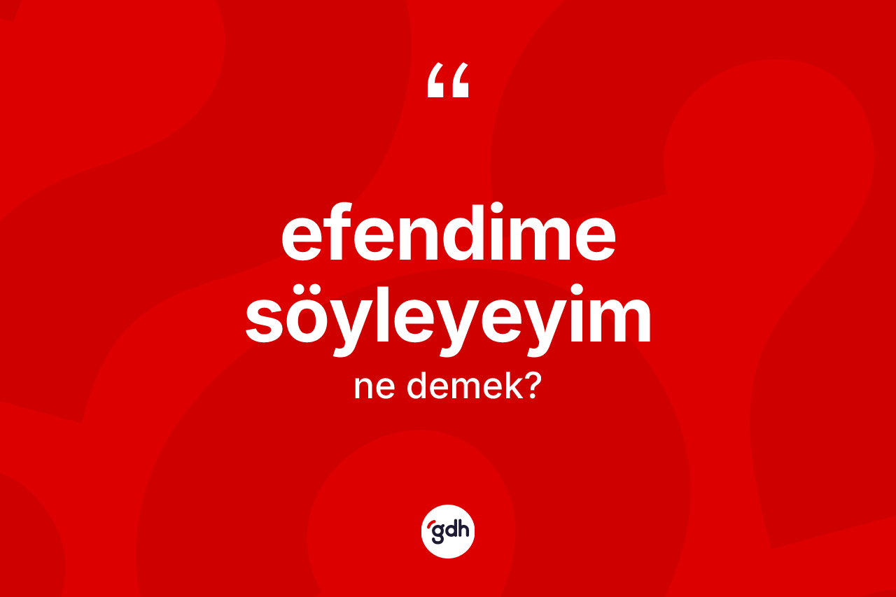 Efendime söyleyeyim ifadesinin anlamı nedir?