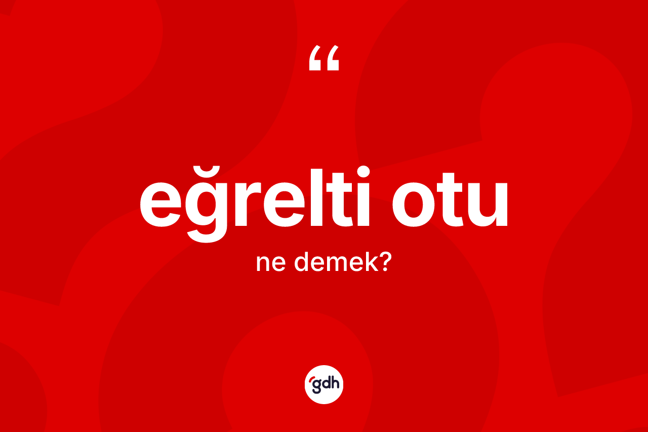 Eğrelti otu nedir? Eğrelti otunun TDK'ya göre anlamı nedir?