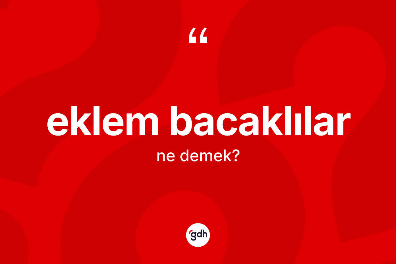 Eklem bacaklılar kelimesi nedir?