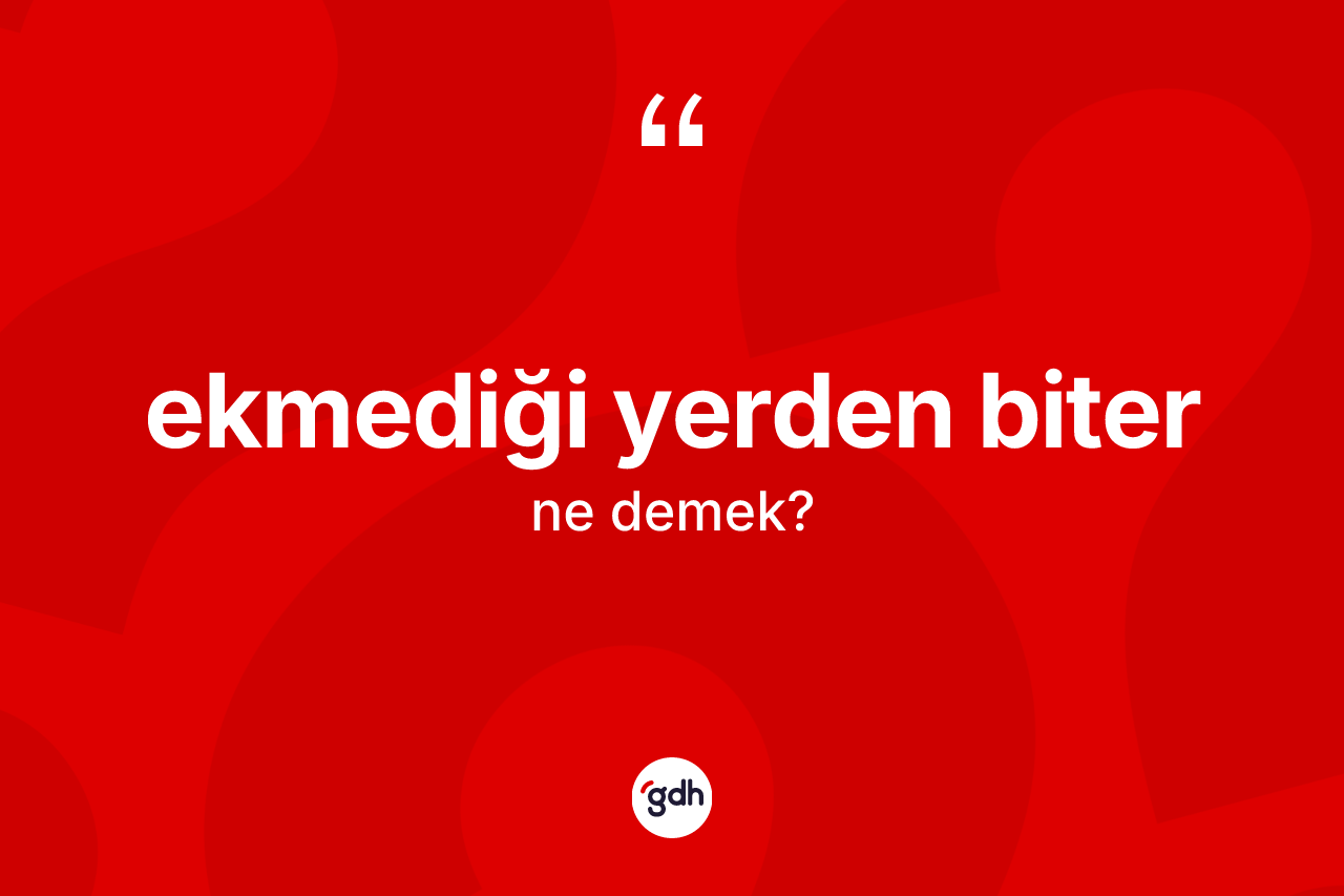 Ekmediği yerden biter ifadesi ne demektir?