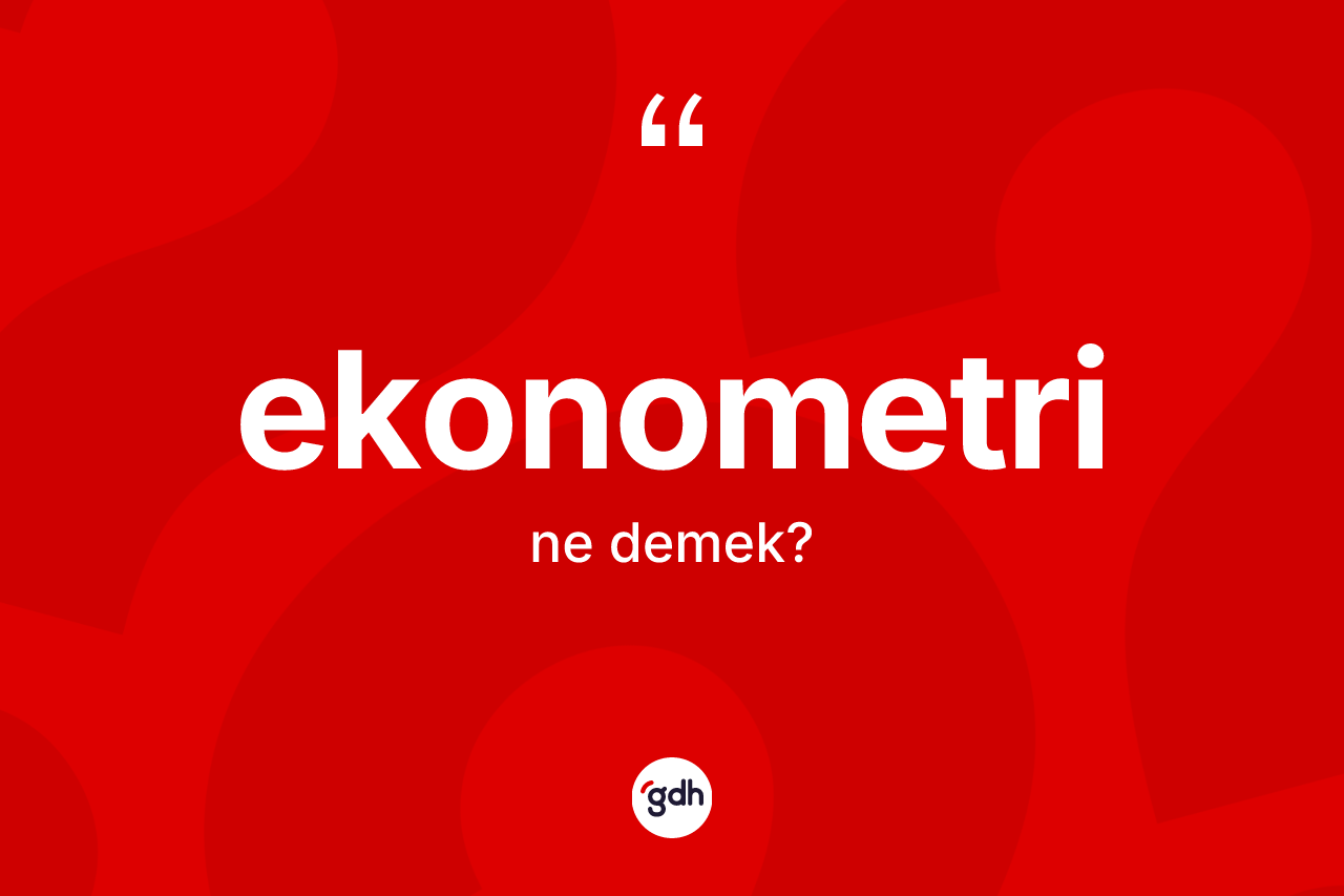 Ekonometri ne anlama gelir?