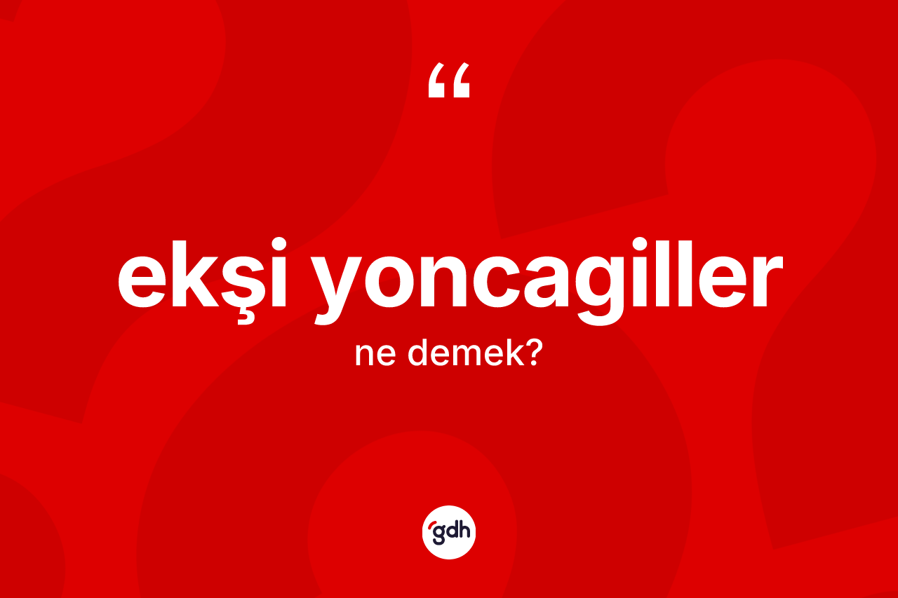 Ekşi yoncagiller kelimesinin sözlükteki tanımı nedir? Ekşi yoncagiller kelimesinin özellikleri nelerdir?