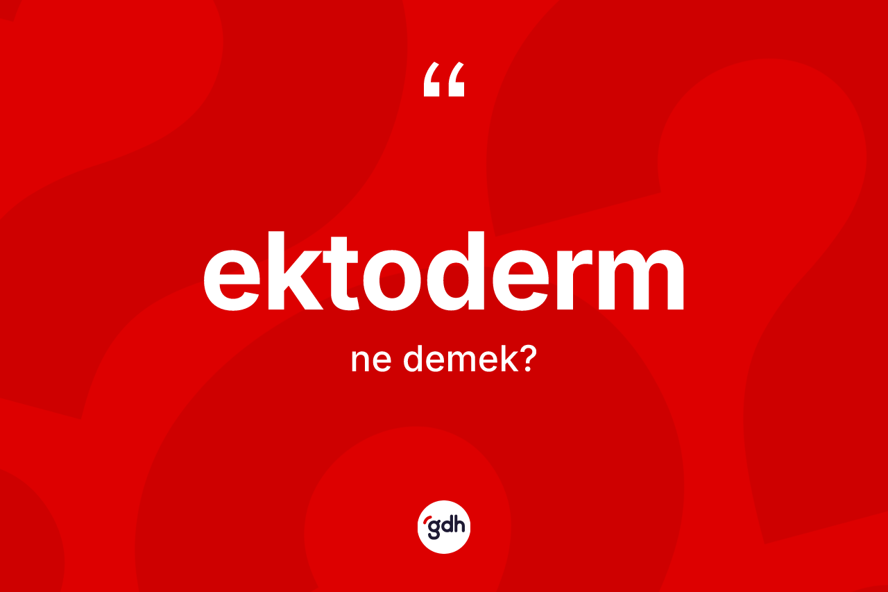 Ektoderm nedir? Ektodermin TDK'ya göre anlamı nedir?