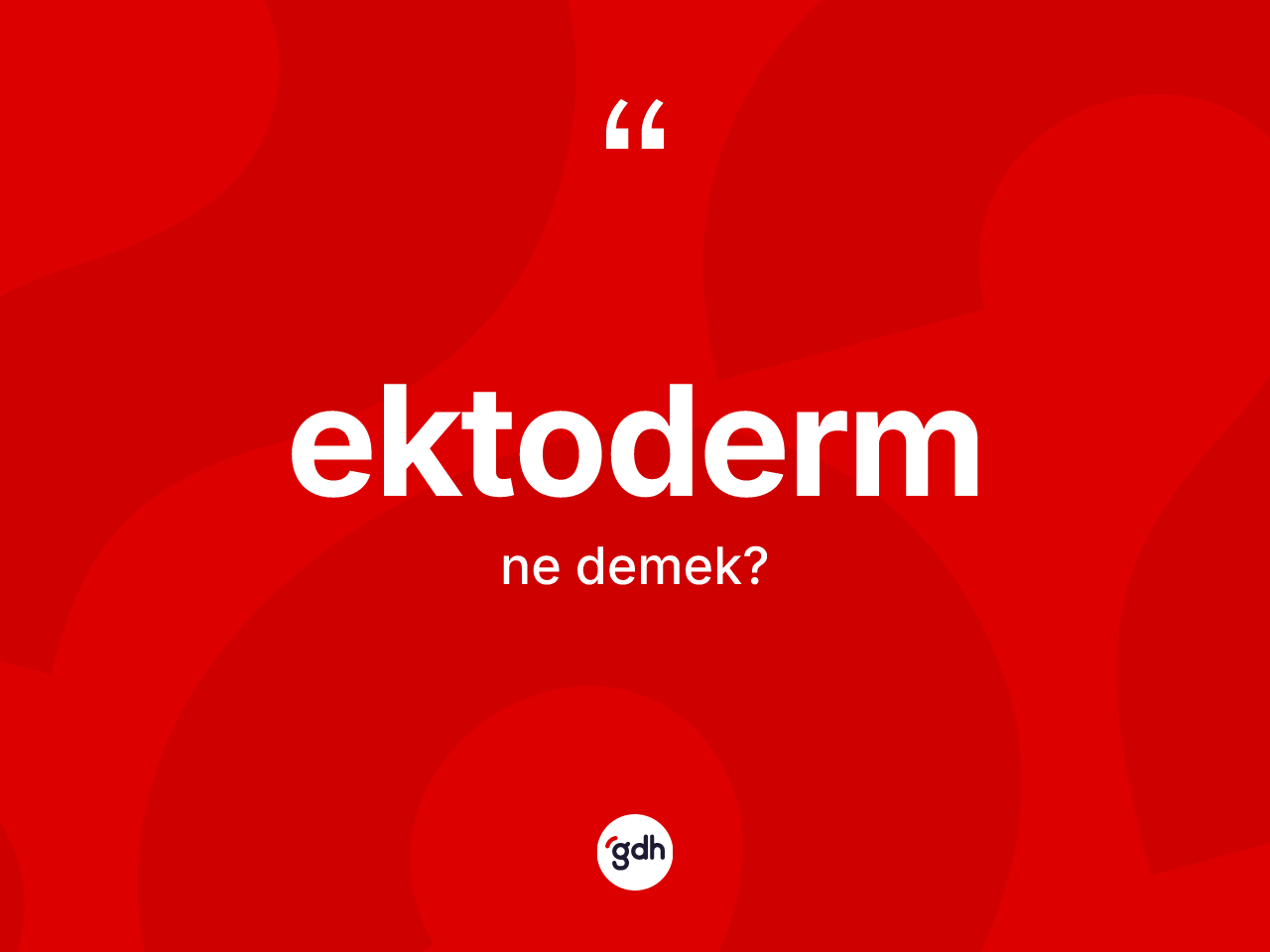 Ektoderm nedir? Ektodermin TDK'ya göre anlamı nedir?