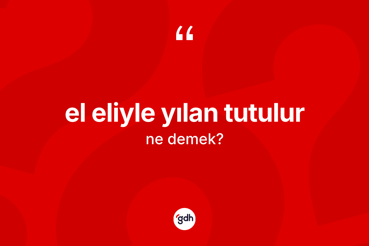 El eliyle yılan tutulur ifadesinin kısaca anlamı nedir? El eliyle yılan tutulur ifadesinin TDK'ya göre açıklaması nedir?