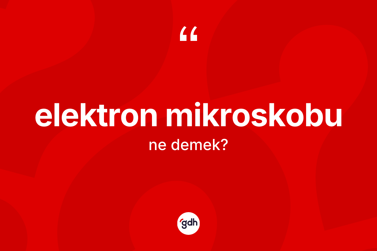 Elektron mikroskobu kelimesinin anlamı nedir?