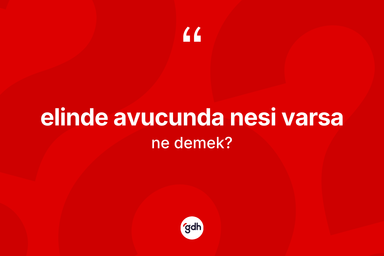Elinde avucunda nesi varsa ifadesinin sözlükteki anlamı nedir?