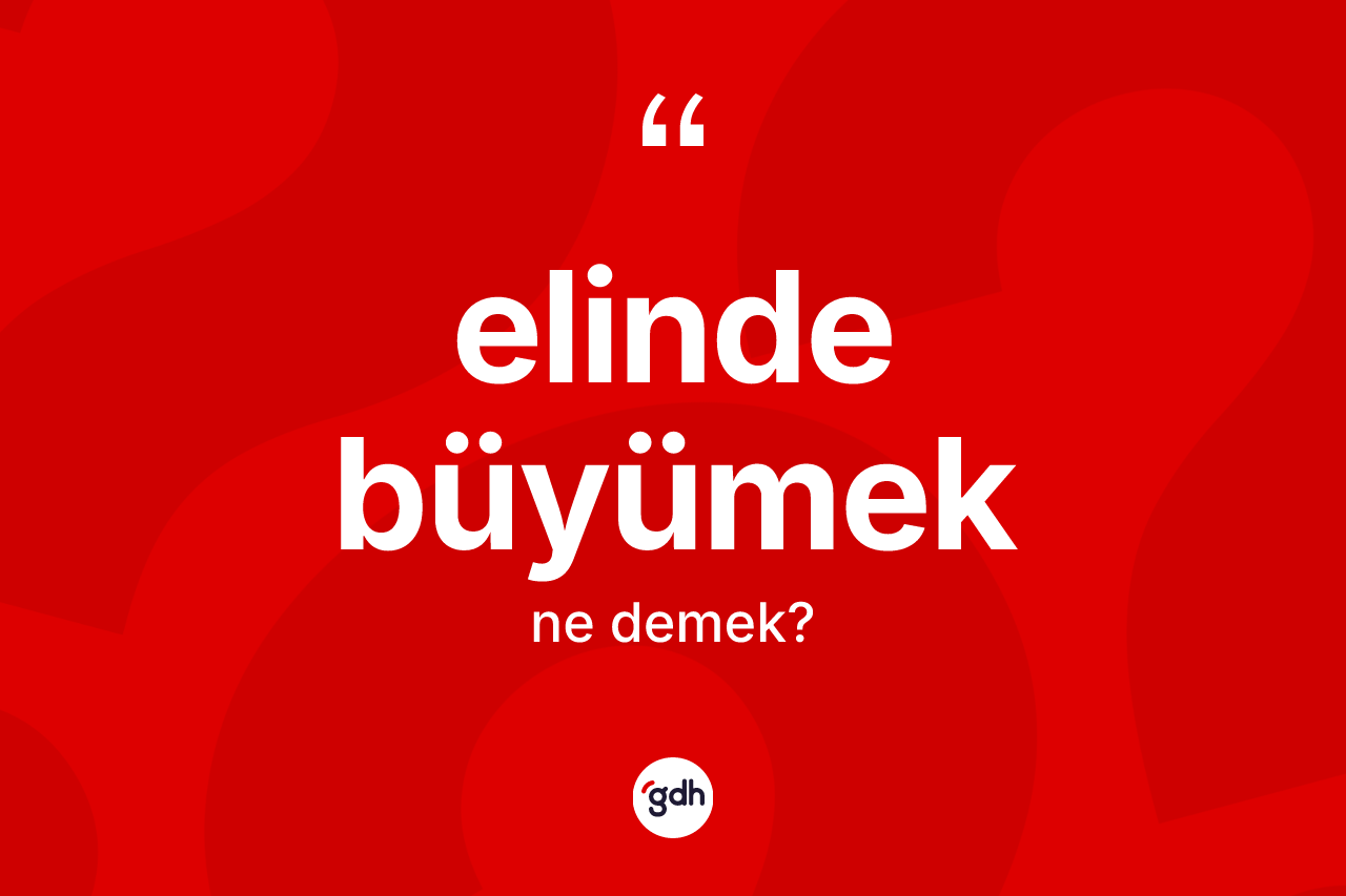 Elinde büyümek ifadesinin anlamı nedir?