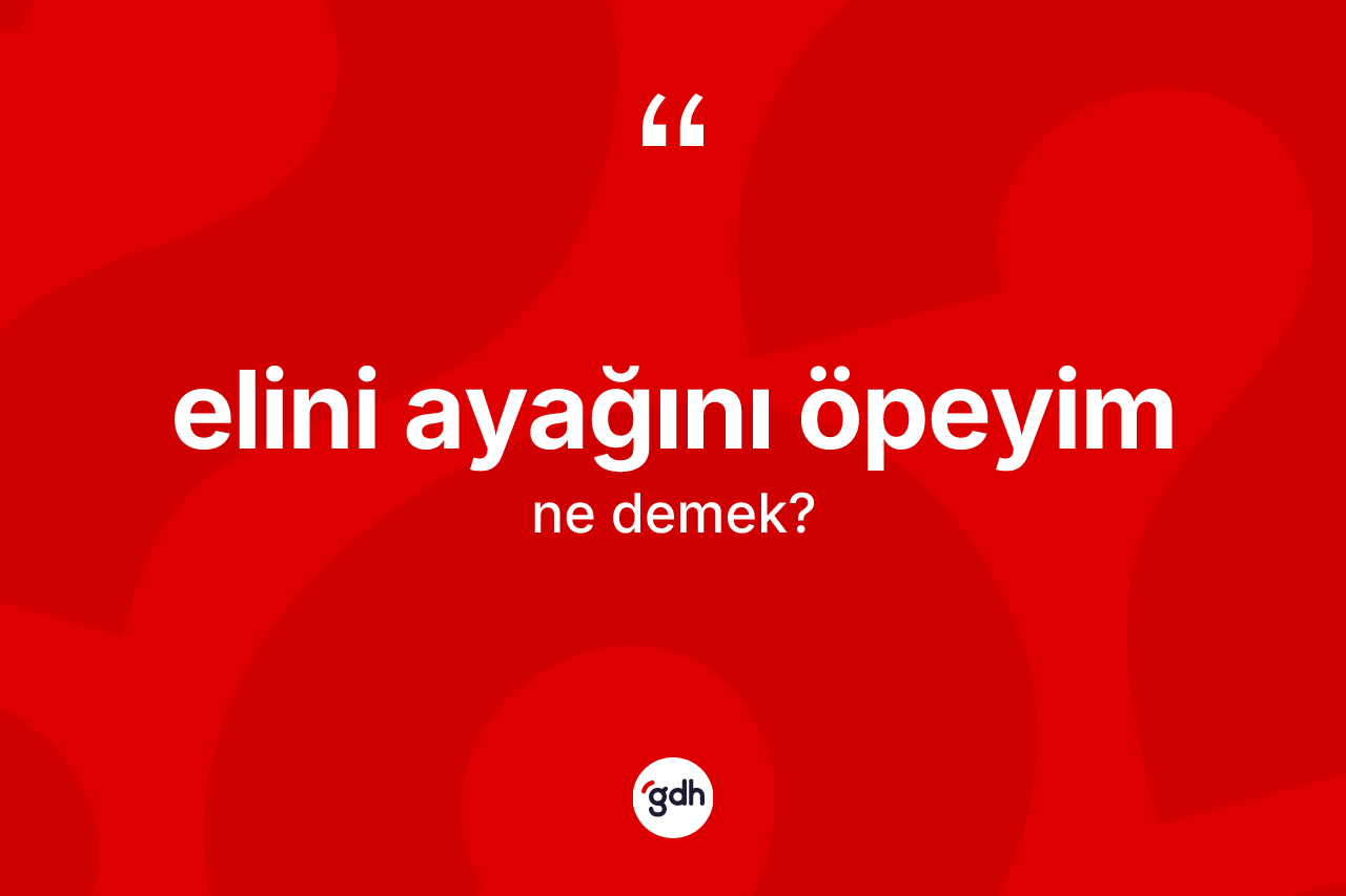 Elini ayağını öpeyim ifadesinin sözlükteki anlamı nedir? Elini ayağını öpeyim ifadesinin TDK'ya göre anlamı nedir?