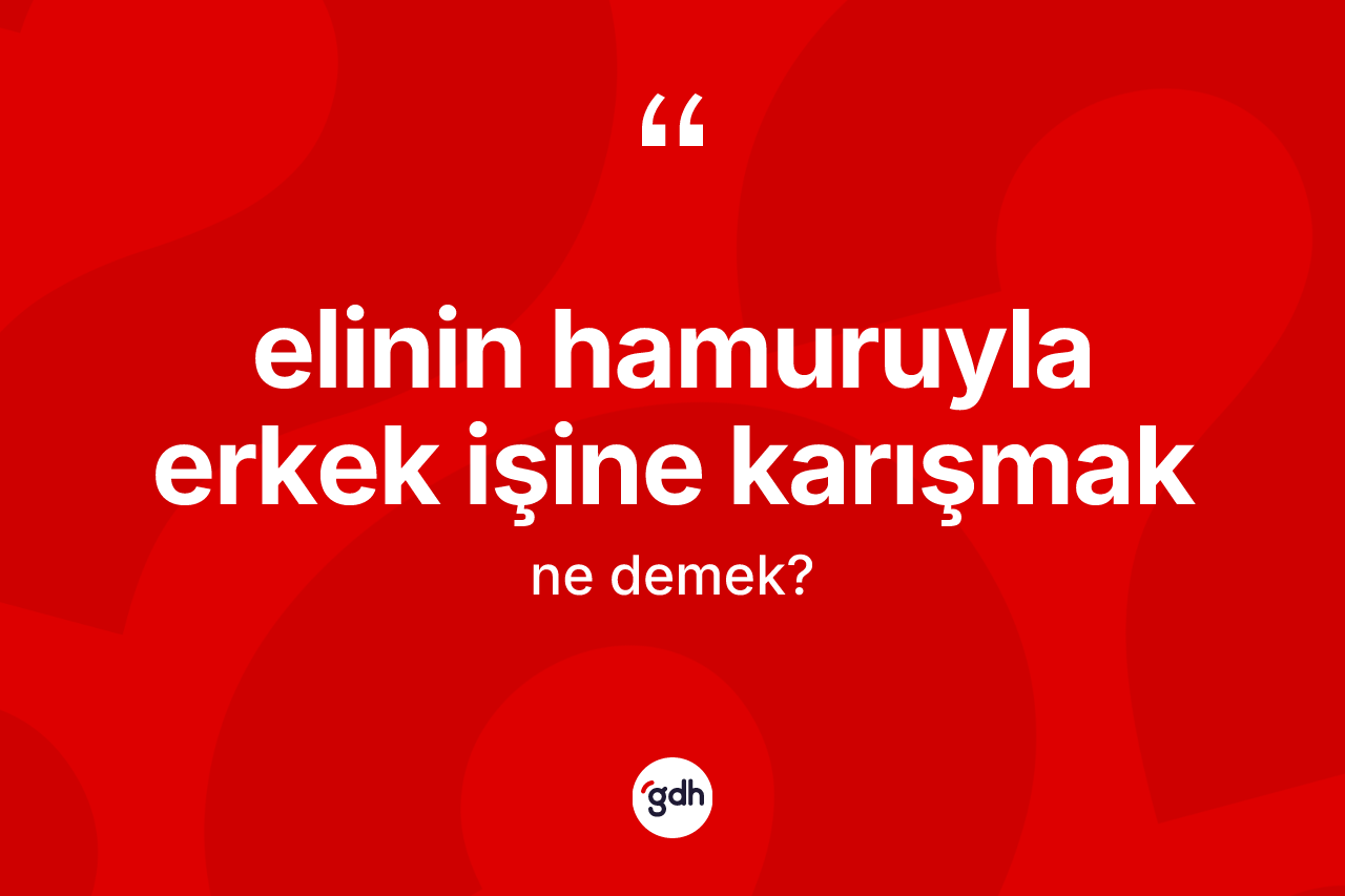 Elinin hamuruyla erkek işine karışmak ifadesi neyi anlatır?