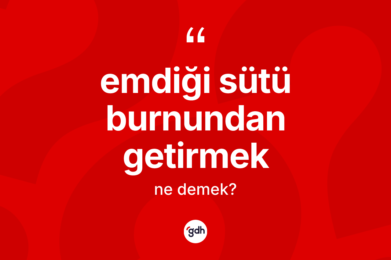 Emdiği sütü burnundan getirmek ifadesinin anlamı nedir? Emdiği sütü burnundan getirmek ifadesinin TDK anlamı nedir?