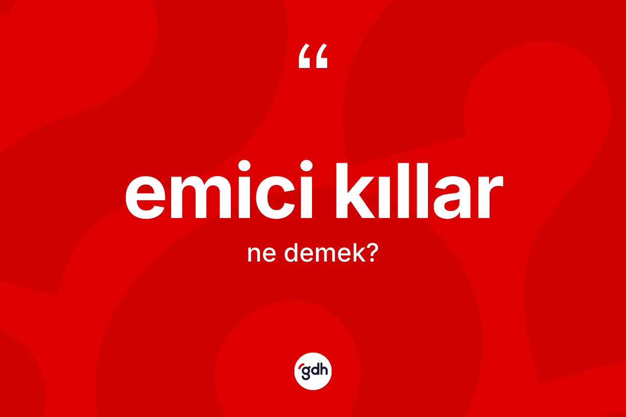 Emici kıllar kelimesi nedir?