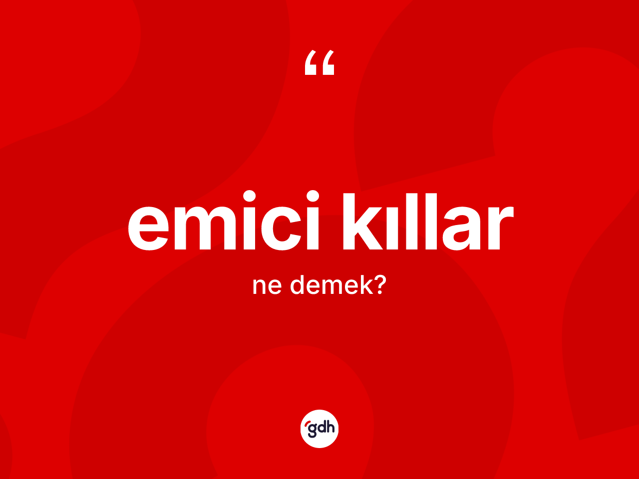 Emici kıllar kelimesi nedir? Emici kılların TDK'ya göre anlamı nedir?