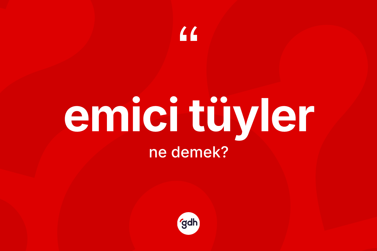 Emici tüyler kelimesi nedir? Emici tüylerin kısaca tanımı nedir?