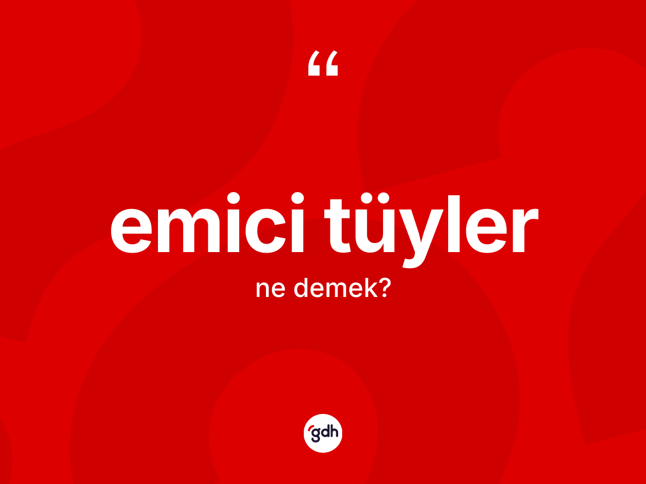 Emici tüyler kelimesi nedir? Emici tüylerin kısaca tanımı nedir?