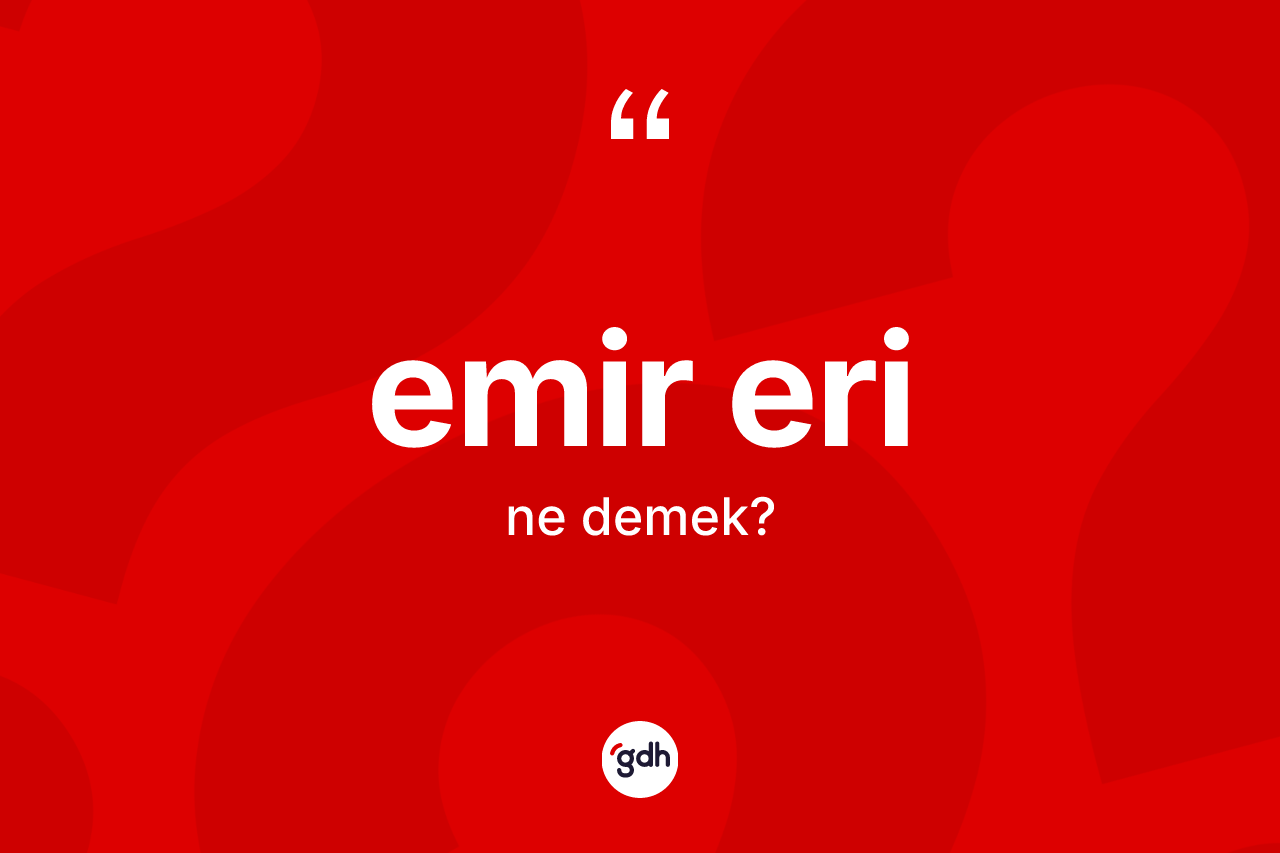 Emir eri kelimesinin anlamı nedir? Emir erinin TDK'ya göre anlamı nedir?