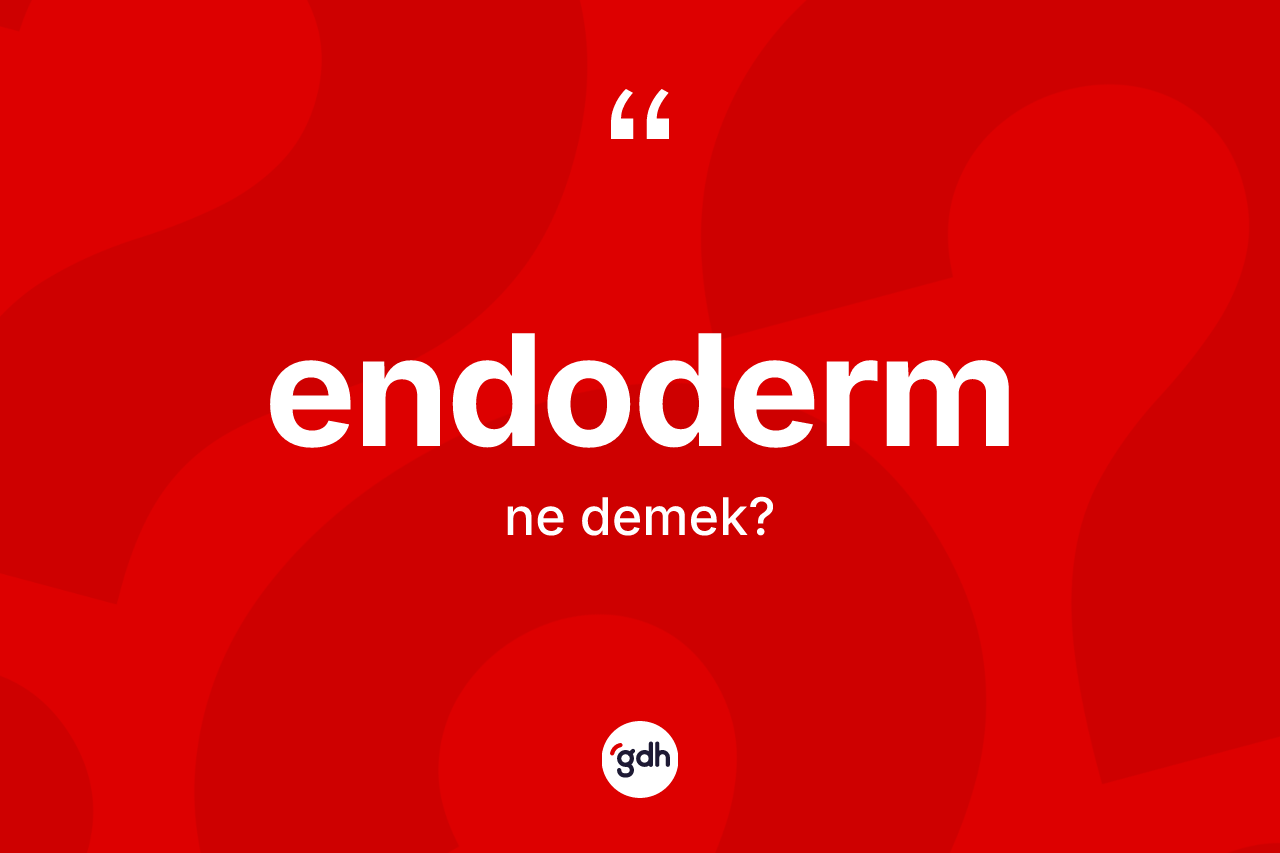 Endoderm kelimesinin tanımı nedir? Endoderm kelimesinin TDK anlamı nedir?