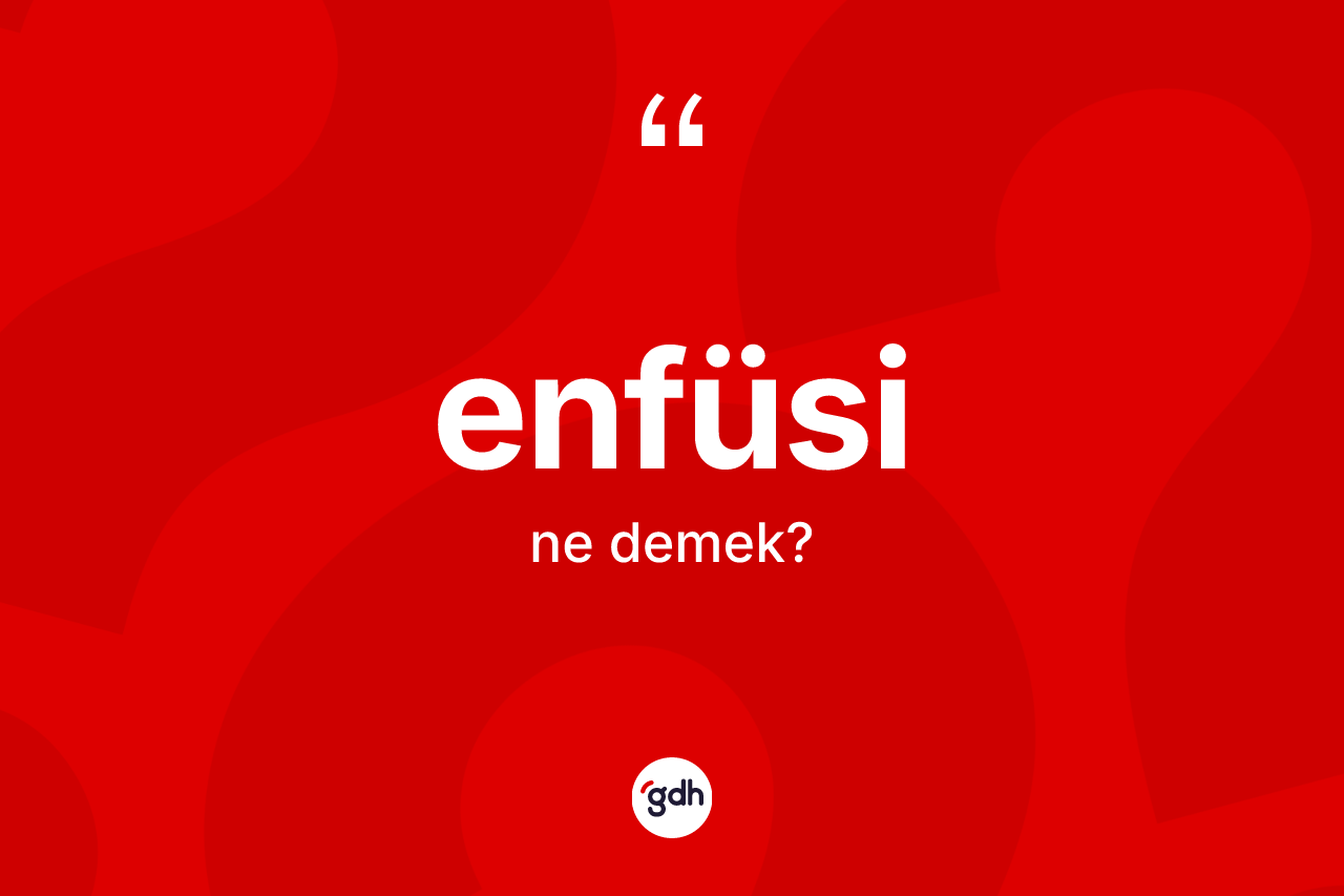 Enfüsi kelimesinin sözlükteki tanımı nedir? Enfüsinin sözlükteki anlamı nedir?