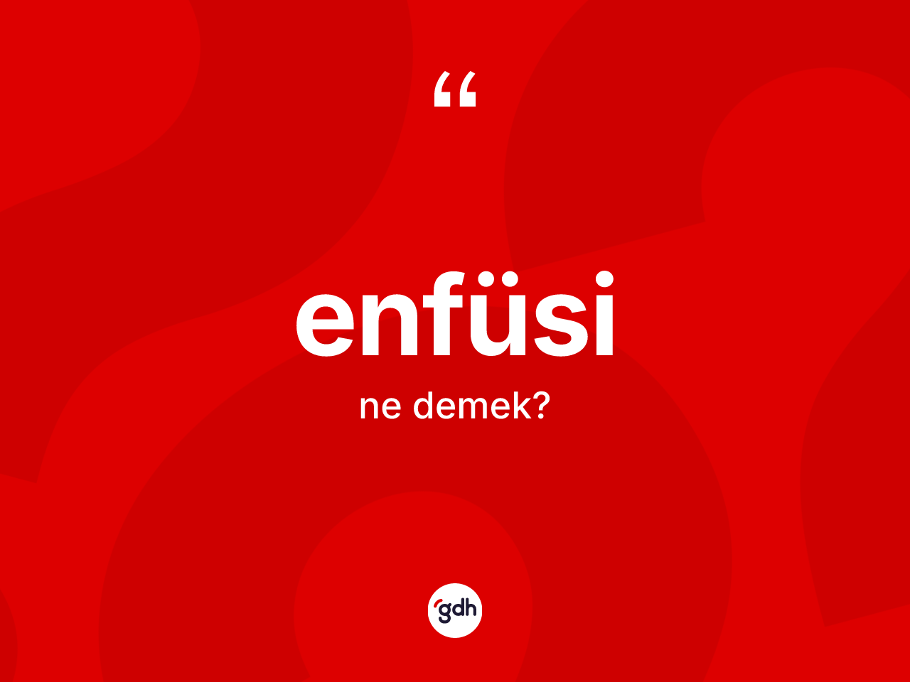 Enfüsi kelimesinin sözlükteki tanımı nedir? Enfüsinin sözlükteki anlamı nedir?