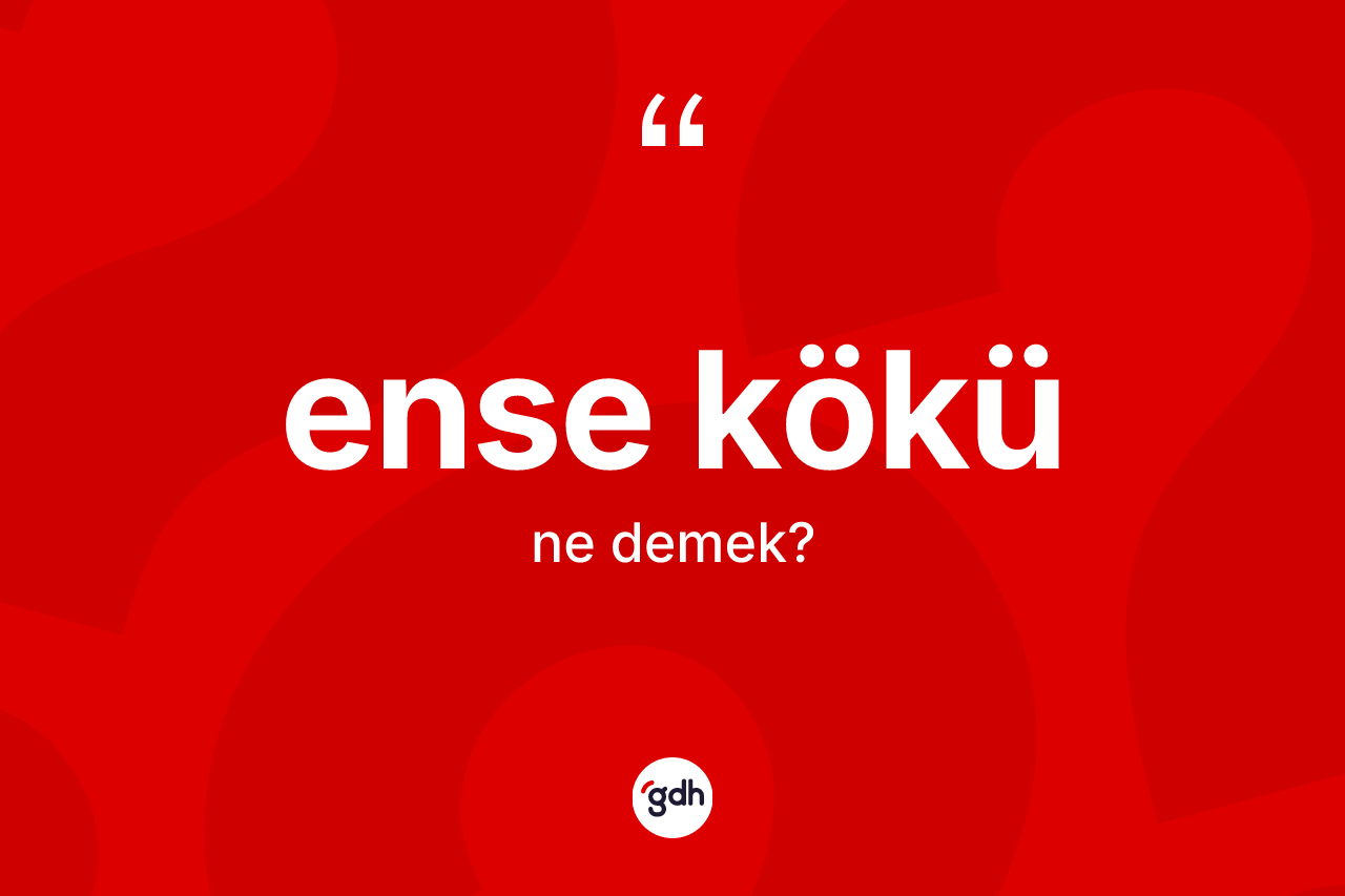 Ense kökü kelimesinin anlamı nedir? Ense kökü kelimesinin özellikleri nelerdir?