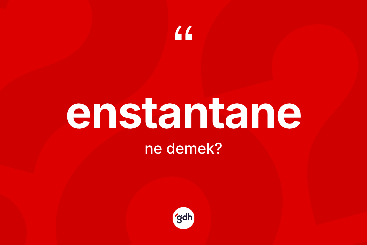 Enstantane kelimesinin tanımı nedir? Enstantane kelimesinin TDK anlamı nedir?