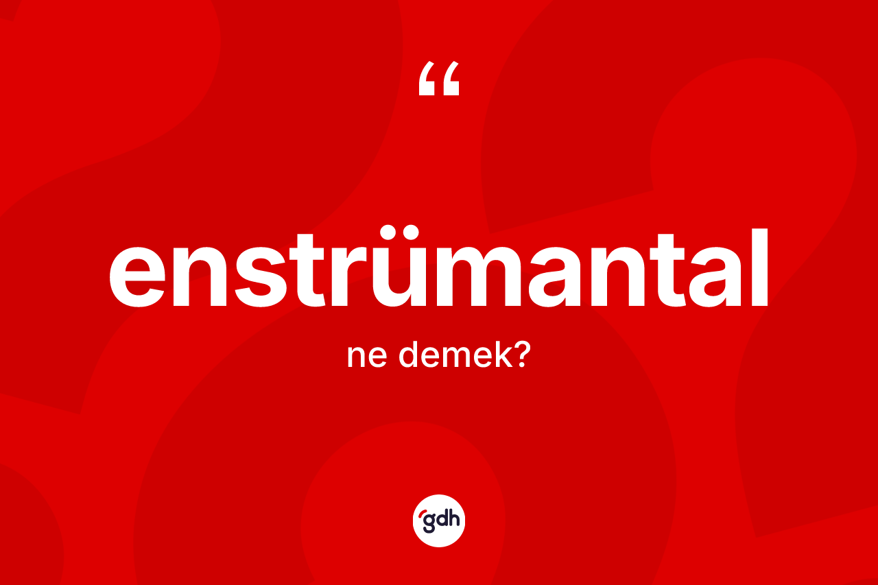 Enstrümantal kelimesi ne anlama gelir? Enstrümantalın TDK'ya göre anlamı nedir?