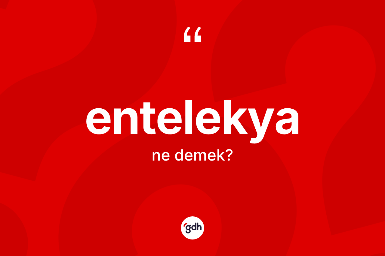 Entelekya kelimesinin tanımı nedir? Entelekya kelimesinin TDK anlamı nedir?