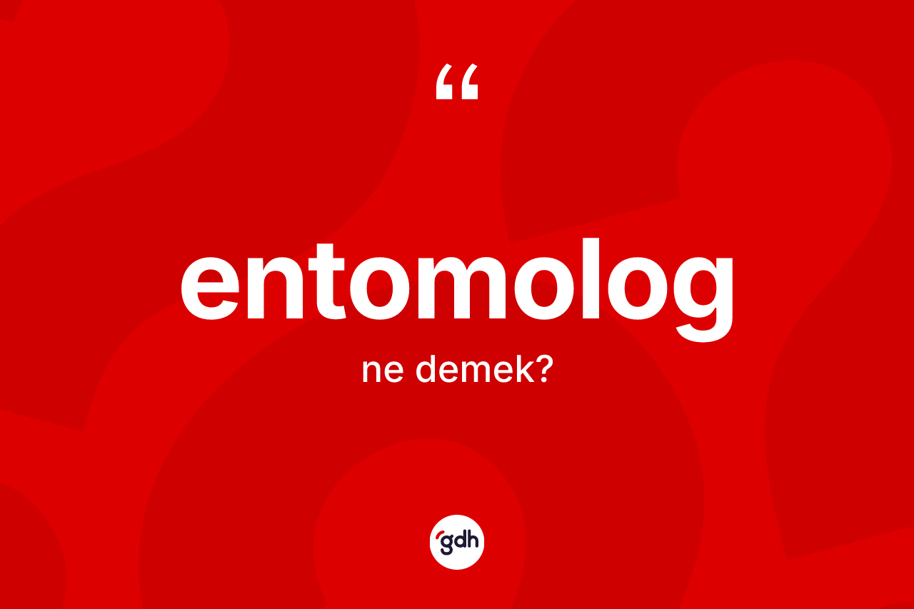 Entomolog nedir? Entomologun TDK'ya göre anlamı nedir?
