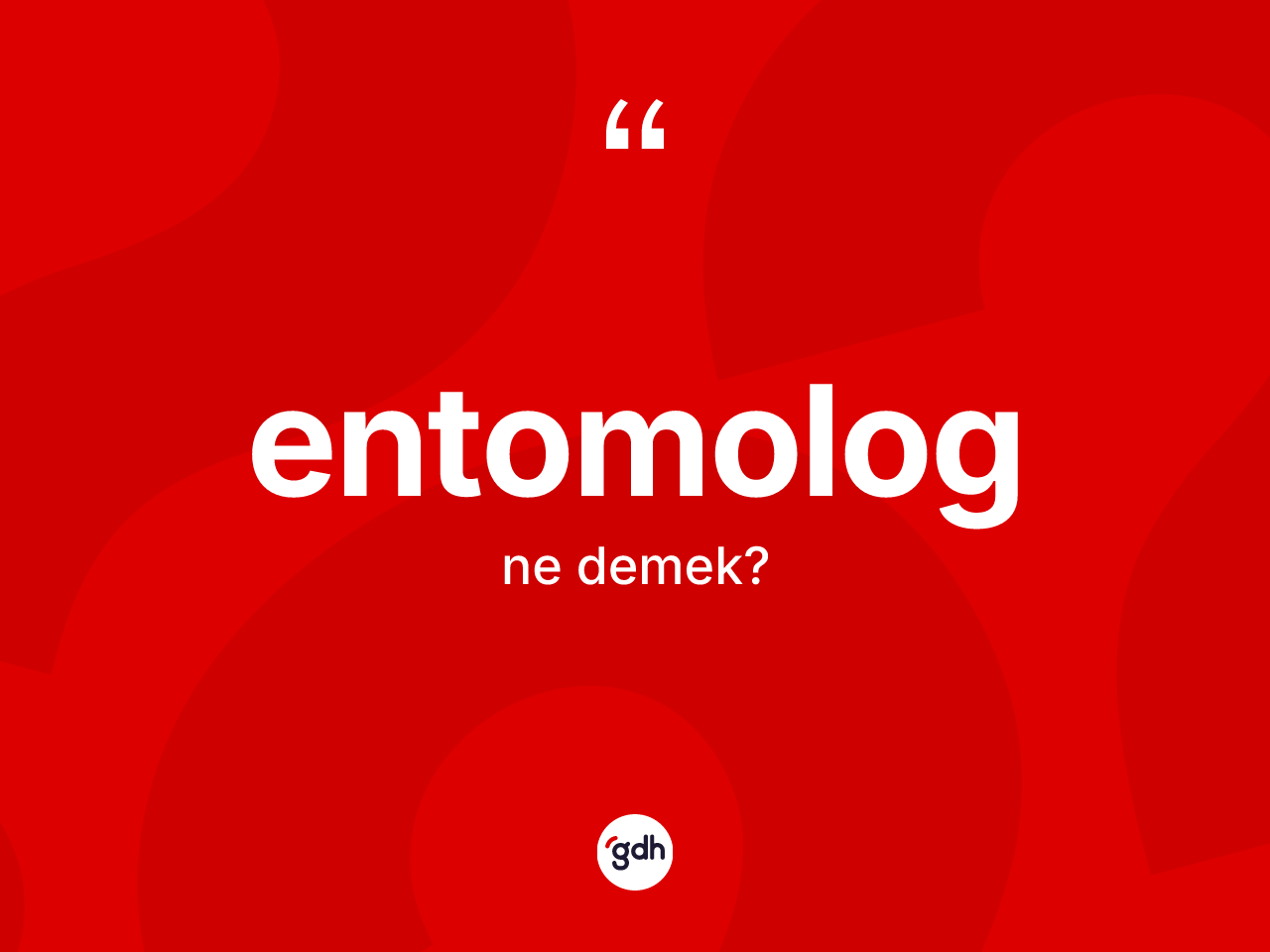 Entomolog nedir? Entomologun TDK'ya göre anlamı nedir?