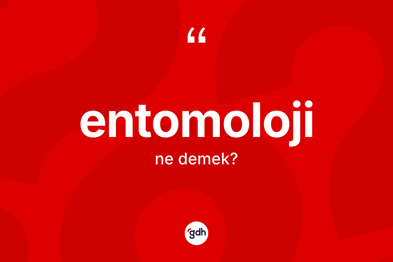Entomoloji kelimesinin tanımı nedir? Entomolojinin TDK'ya göre anlamı nedir?