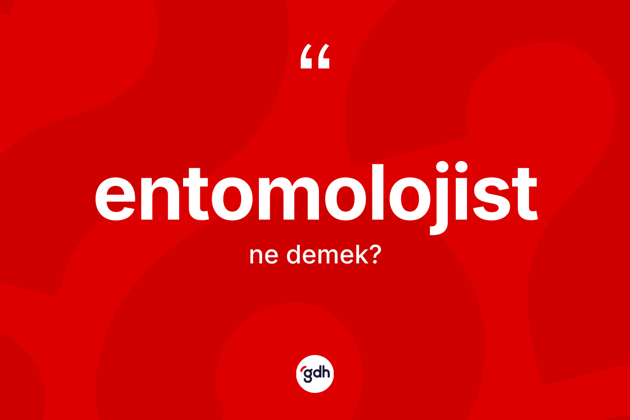 Entomolojist nedir? Entomolojist kelimesinin TDK'ya göre açıklaması nedir?