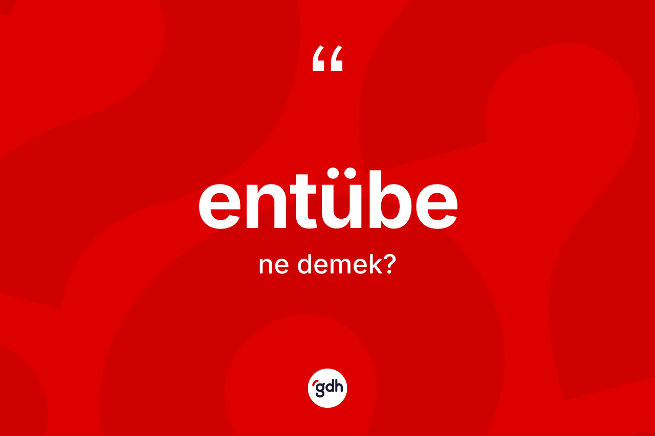 Entübe ne demek? Entübenin TDK'ya göre anlamı nedir?