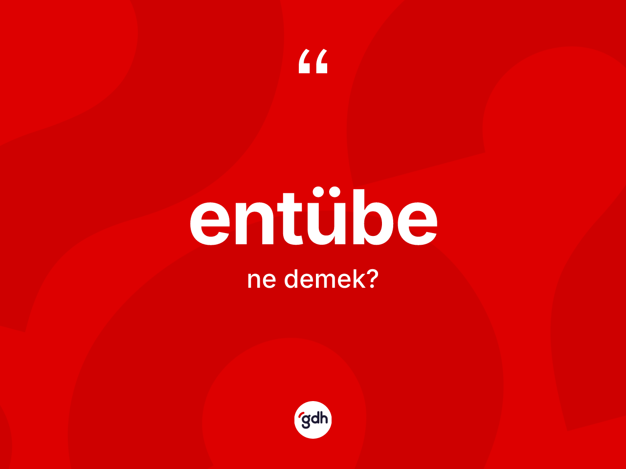 Entübe ne demek? Entübenin TDK'ya göre anlamı nedir?