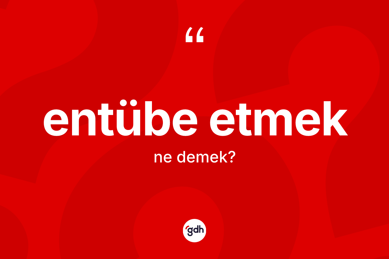 Entübe etmek ifadesi ne anlama gelir? Entübe etmek sözünün TDK'ya göre anlamı nedir?