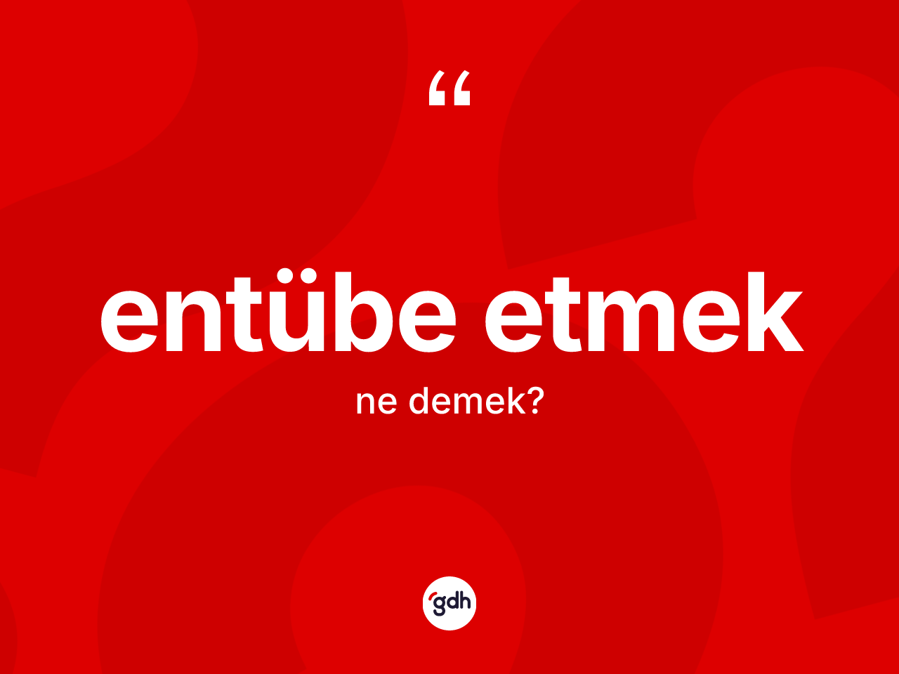 Entübe etmek ifadesi ne anlama gelir? Entübe etmek sözünün TDK'ya göre anlamı nedir?