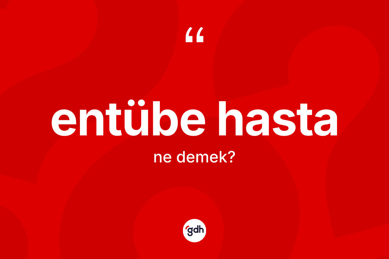 Entübe hasta kelimesi ne demek? Entübe hasta kelimesinin kaç farklı anlamı var?