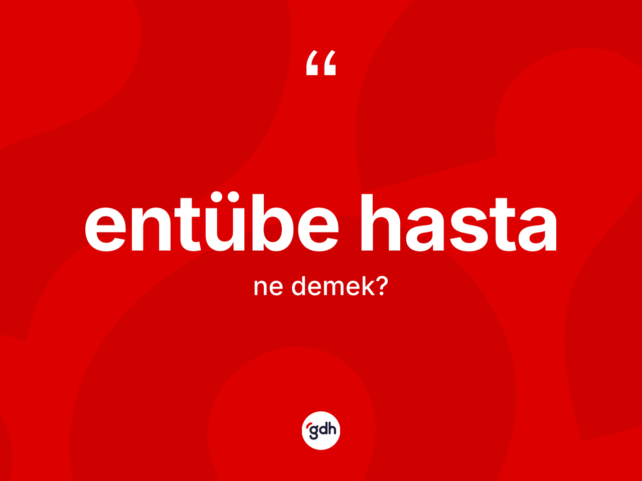 Entübe hasta kelimesi ne demek? Entübe hasta kelimesinin kaç farklı anlamı var?