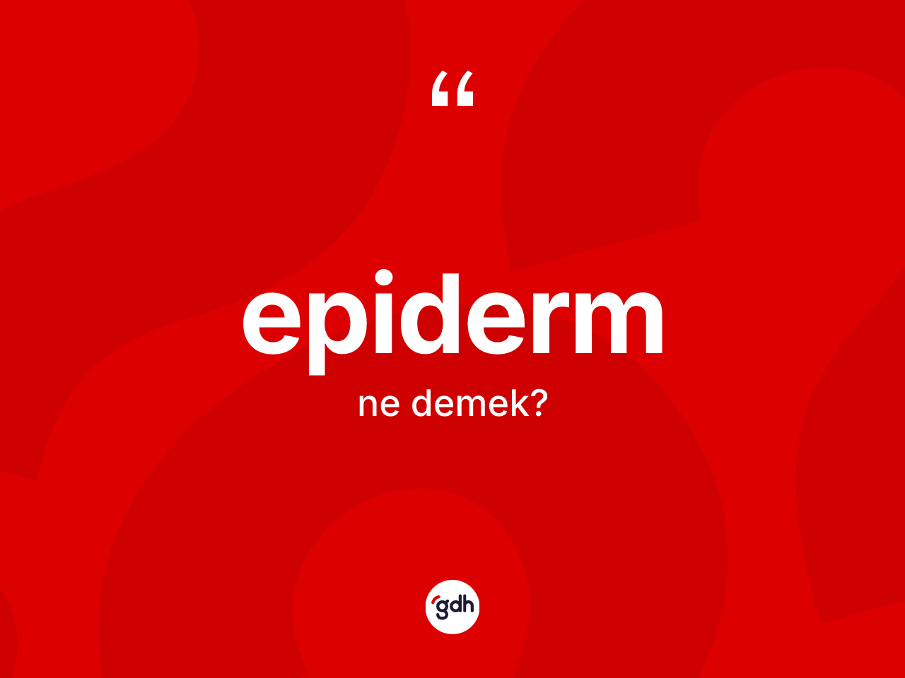 Epiderm kelimesinin tanımı nedir? Epiderm kelimesinin TDK anlamı nedir?
