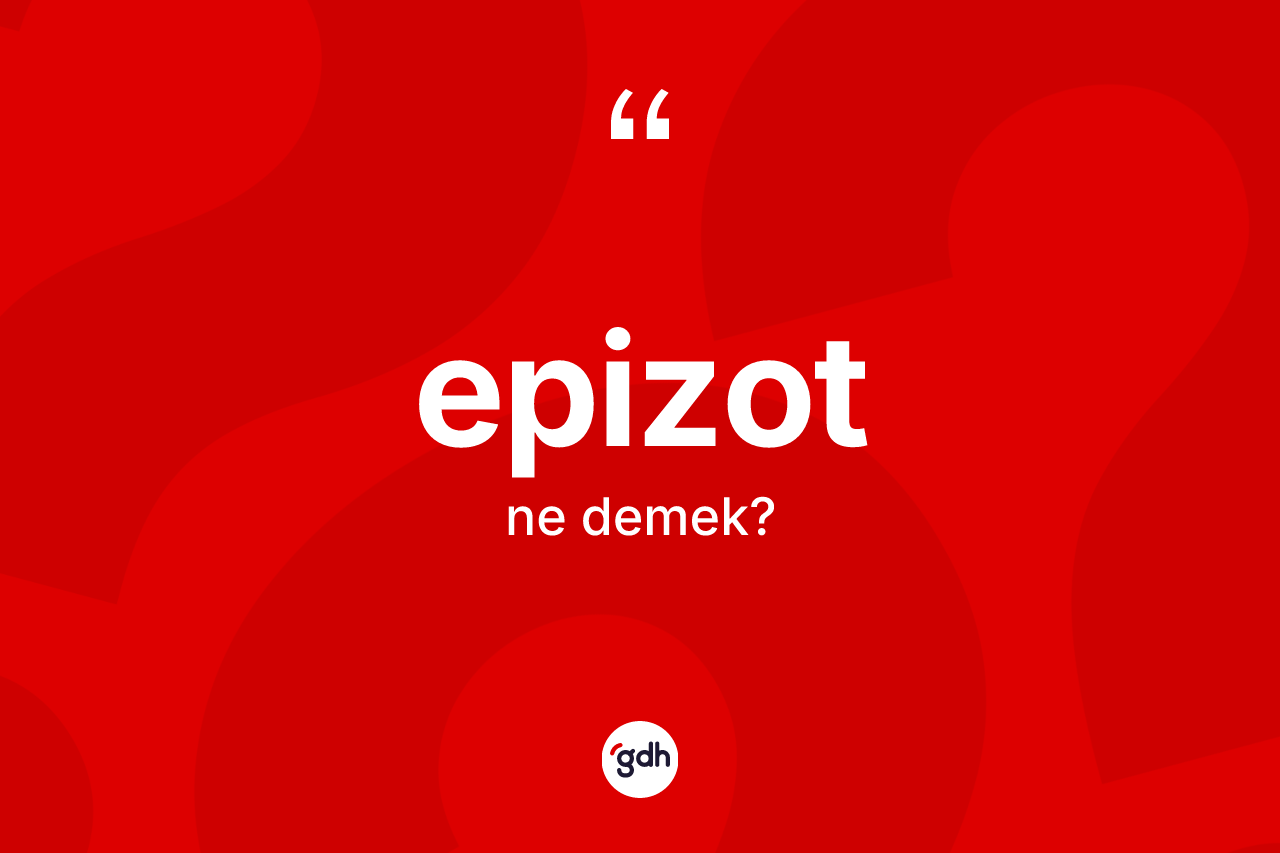 Epizot kelimesi ne demek?