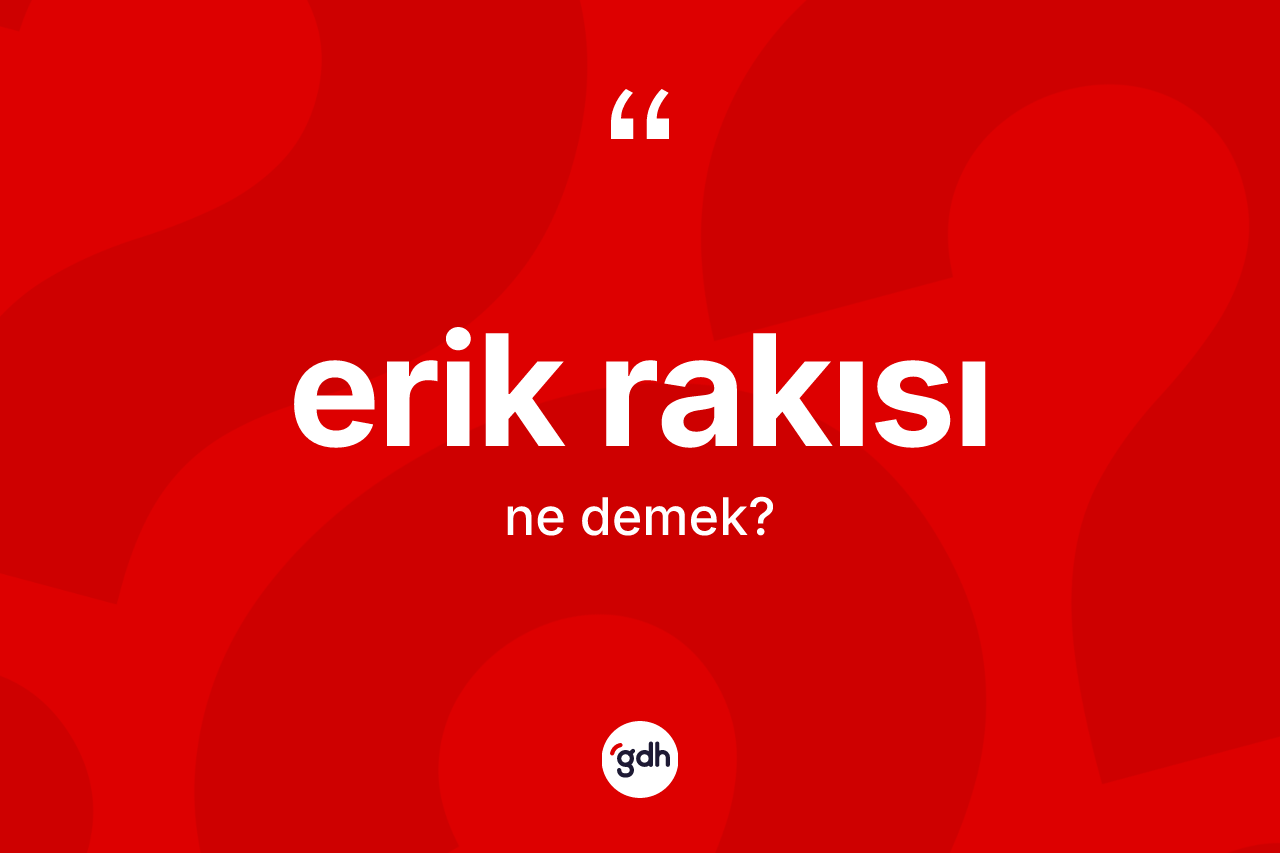 Erik rakısı kelimesinin anlamı nedir? Erik rakısının TDK'ya göre anlamı nedir?