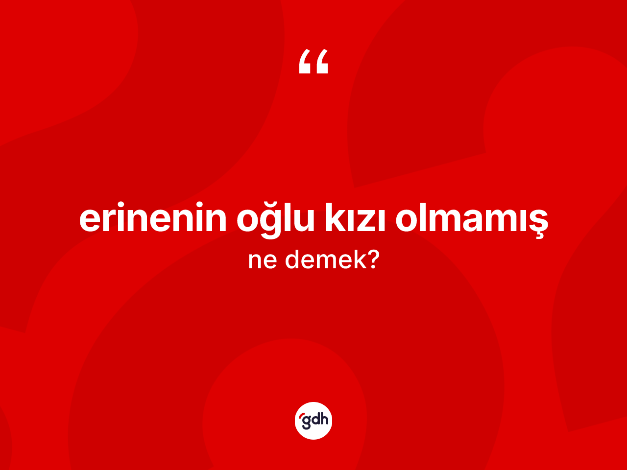 Erinenin oğlu kızı olmamış ifadesinin sözlükteki anlamı nedir? Erinenin oğlu kızı olmamış sözünün TDK tanımı nedir?