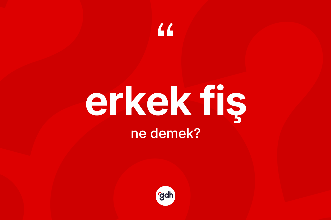 Erkek fiş ne anlama gelir? Erkek fiş kelimesinin TDK'ya göre açıklaması nedir?